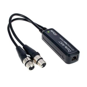 Dante AVIO input to dual analog XLR adapter